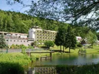 Hotel Schwarzbachtal Hideaway Отели в г. Бад-Брамбах