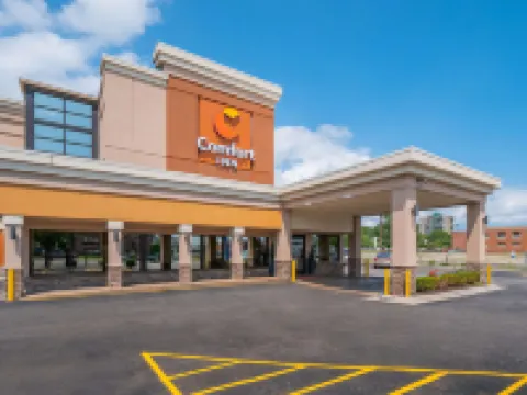 Comfort Inn Downtown Hotels near The Aretha Franklin Amphitheatre