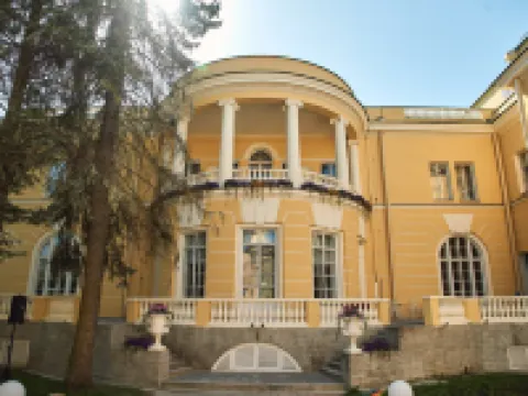 Hotel Kochubey-Center Hotels in Pushkin