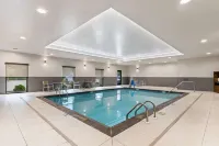 Comfort Suites Columbia I-65 - Pools
