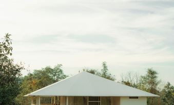 Tree of Life Ramvilas, Bandhavgarh