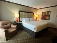 Wingate Houston Near NRG Park/Medical Center Hotel a Houston