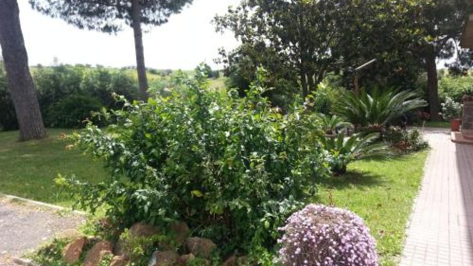 La Finestra Sul Cortile