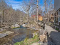 Still Standing! Cozy Cottage, Great Location!