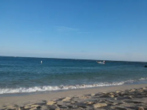 Miami Paradise with Pool Near Haulover Beach and  Aventura Mall. Hotels in North Miami