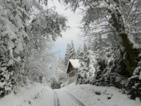 Maison en Pleine Nature 6km de Gérardmer Hotels in Gerbepal