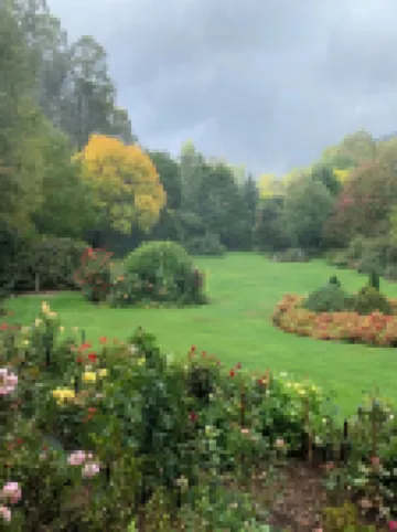 Alpine Delux Cottage, 8 acres of magnificent garden on the Ovens River.