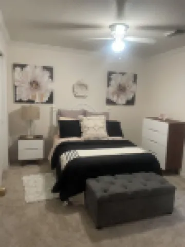 The Catbird Hideaway - Your peaceful and serene home in the Houston, Tx area.