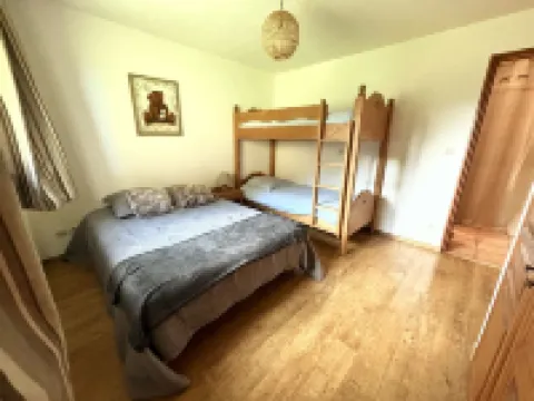 Appartement Dans un Chalet à la Montagne Avec Très Belle vue sur le Mont-blanc 阿爾利河畔普拉茲酒店