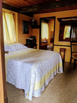 Tropical Studio Apartment!