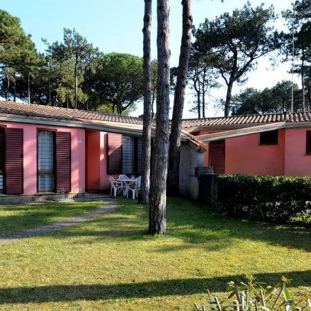 Bright and lovely villa with garden