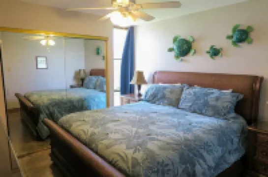 Winter Special. Amazing Views, Quiet Complex Two Bedroom, King Bed, Private.