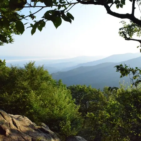 Travelers' Rest--Your Wintergreen Retreat in the Center of it All!