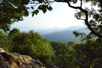 Travelers' Rest--Your Wintergreen Retreat in the Center of it All!