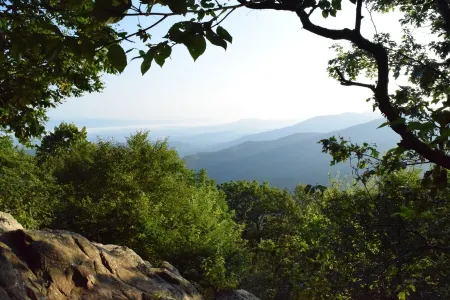 Travelers' Rest--Your Wintergreen Retreat in the Center of it All!