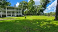 Peaceful property on the historic Suwannee River.