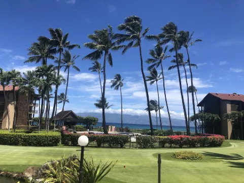 No Resort or Parking Fees. Beautiful Ocean Front, Ground Level Condo with A/C. Отели в г. Напили-Хоноковаи