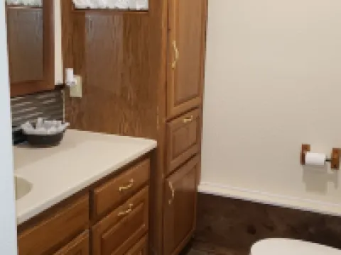 West Side Angler's Studio/Cabin close to Bull Shoals Lake Hotels in Ozark County