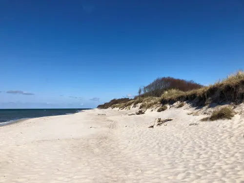 Apartment 3 mit 50 m2 Grosser Dachterrasse