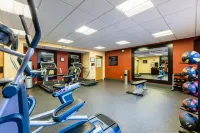 Hampton Inn by Hilton St. Charles St. Peters - Gym