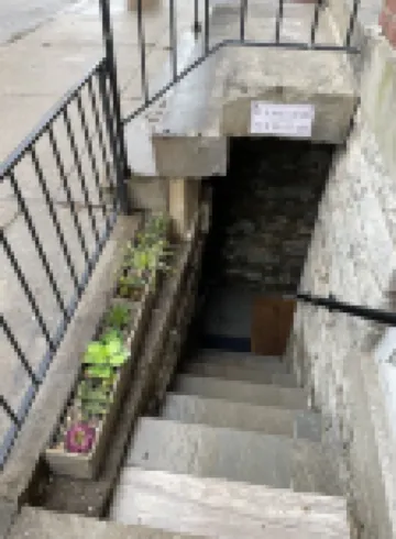 Beautiful Studio on the Park in the Heart of Mt. Adams