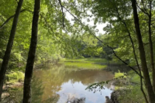 Beautiful Farmhouse, 6 bedrm, pond, woods, firepit