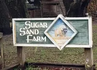 Little Fish House Casita de Peces Sugar Sand Farm