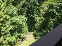 Large retreat house in a quiet cul de sac! Hotels in Sammamish