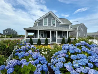 Beachfront on our private beach!  Driftwood Cottage - Pipers' Shore