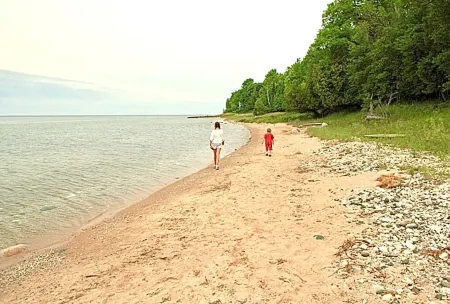 Log Cabin on Tunnel of Trees  with Lake Michigan View! Отели рядом с достопримечательностью «Понд Хилл Фарм»