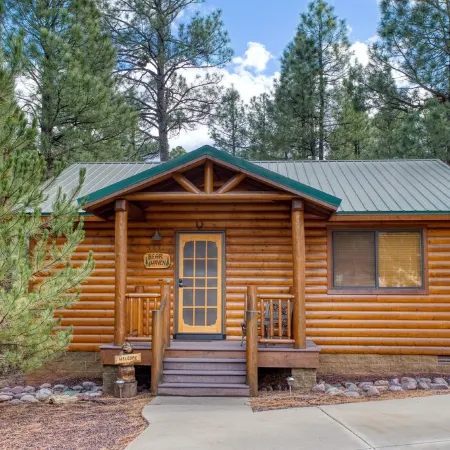 Bear Haven! 2 Bedroom Show Low Cabin!
