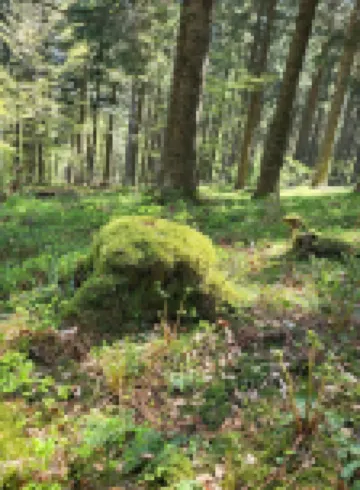 Cozy vacation apartment for 1 to 4 people. Perfect for a little time out