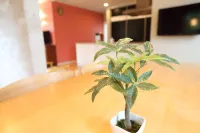 TabinoTatei Kamakura Yuigahama Room A Homann Con