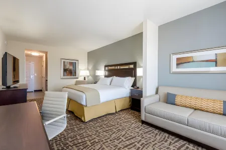 Holiday Inn Express & Suites Denver South - Castle Rock
