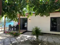 OtelOX Ayas Beach Bungalov Hôtels à : Kizkalesi