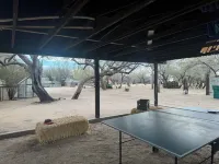 3 BR adobe home , horse friendly, pool, jacuzzi,pet friendly.