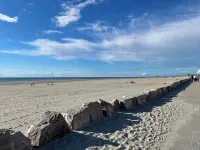 Berck sur Mer Appartement à 50m de la Plage! 貝爾克住宿飯店