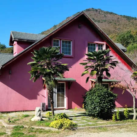 American House
