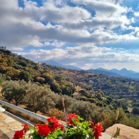 Elaiolithos - Luxury Villa Suites - Adults Only