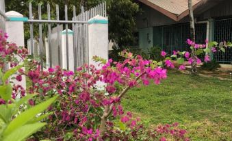 Unu Pikin Guesthouse