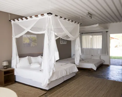 Dornhügel Guestfarm Hotels in Grootfontein