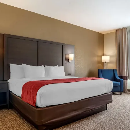 Comfort Inn & Suites Millbrook-Prattville Hotels in Millbrook