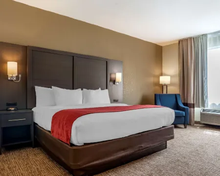 Comfort Inn & Suites Millbrook-Prattville Hotels in Millbrook