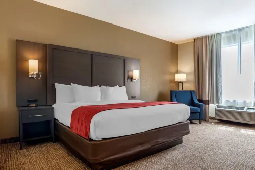 Comfort Inn & Suites Millbrook-Prattville - parking