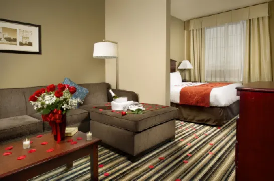 Comfort Suites Waco North - Near University Area Hotels in McLennan County