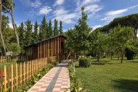 سول تروبيكال دوريس