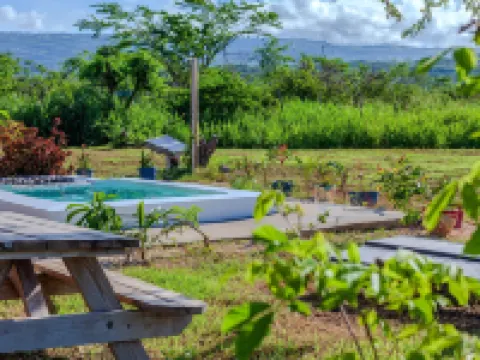 Cashaw Cabin - Private Retreat with a Pool Hotels in Treasure Beach