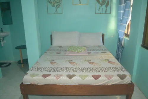 Shenamae Pension Hotels in Roxas