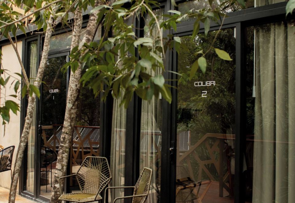 부포 알바리우스