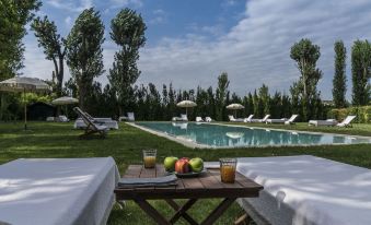 La Barchessa di Villa Pisani